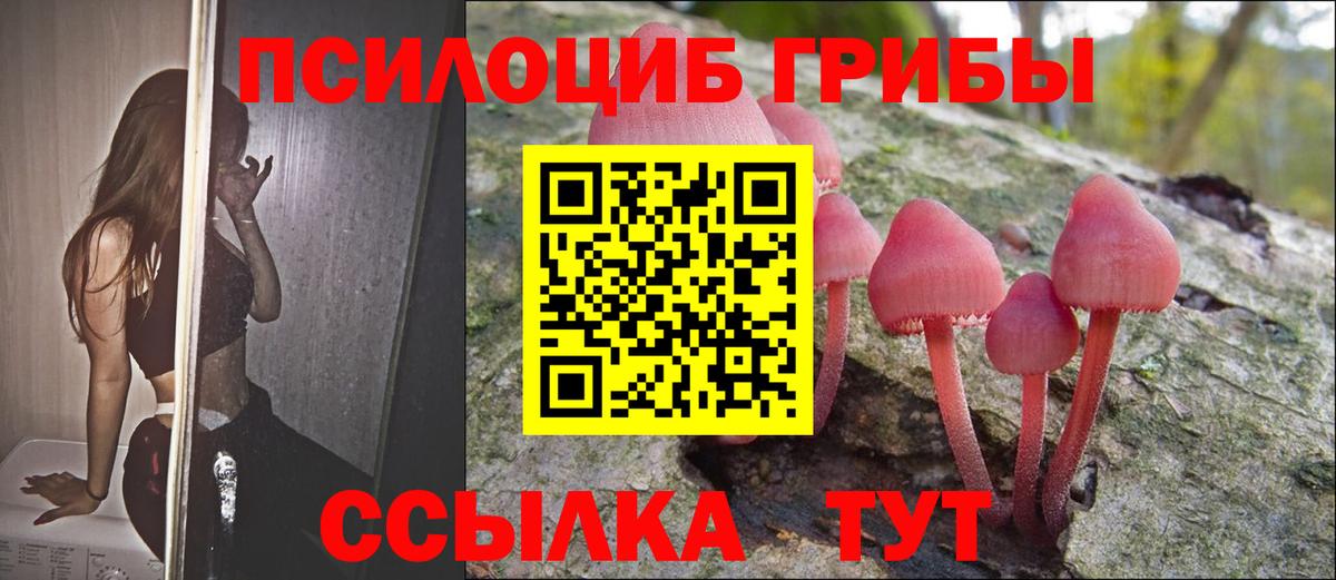Фурманов  Псилоцибиновые грибы ЛСД  Вход с VPN 