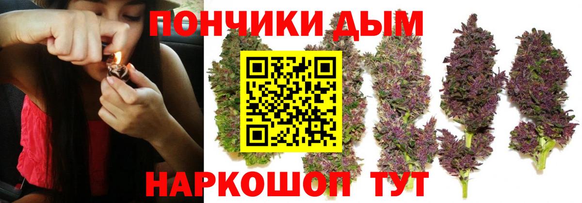 Шишки марихуана планчик Фурманов